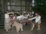 2004 - Wirthaus im Spessart