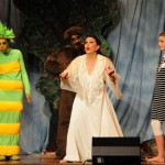 Bild8